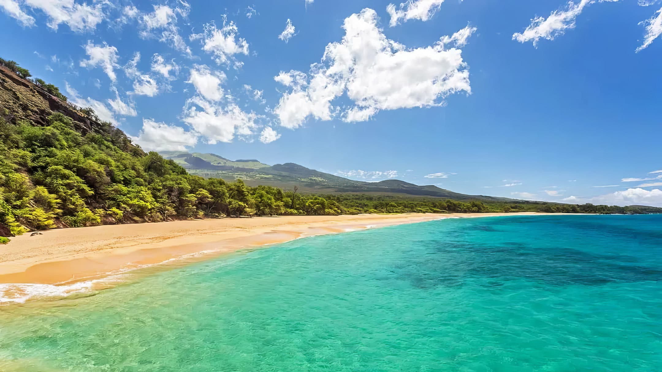 Turquoise water and golden sand along a secluded Hawaiian shoreline