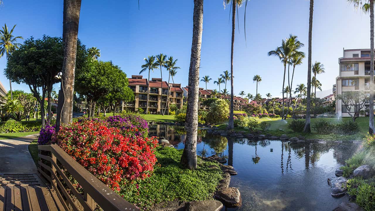Castle resort pool and tropical landscaping on Maui