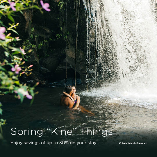 Spring Kine Things. Enjoy savings up to 30% on your stay.