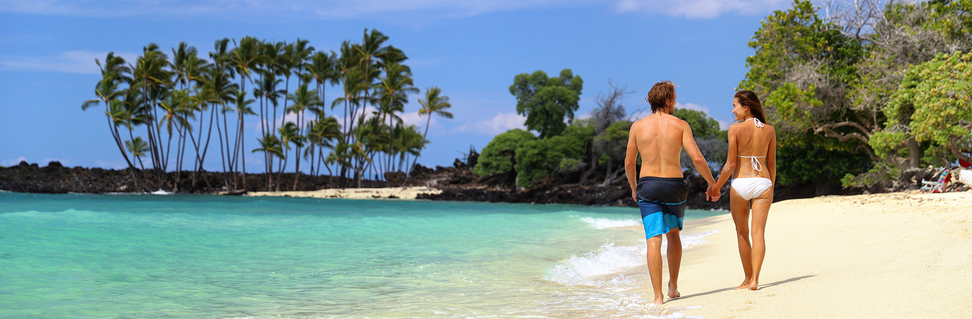 35% off New Year's Sale