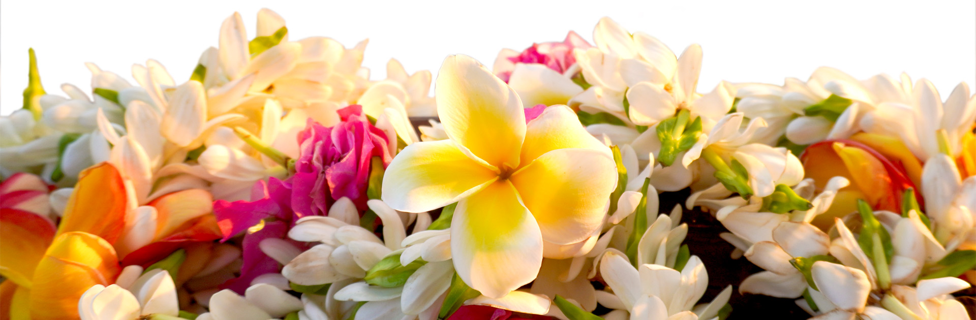 Springtacular Deals up to 20% Off