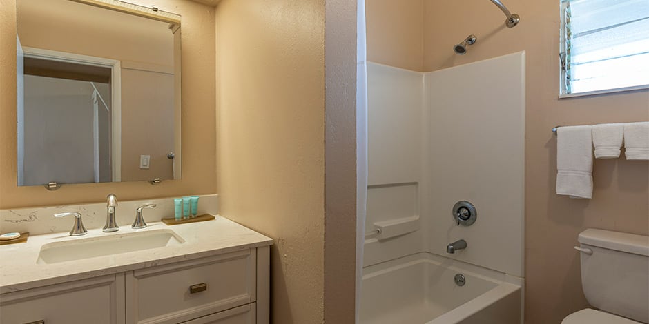 Deluxe Ocean View Bathroom