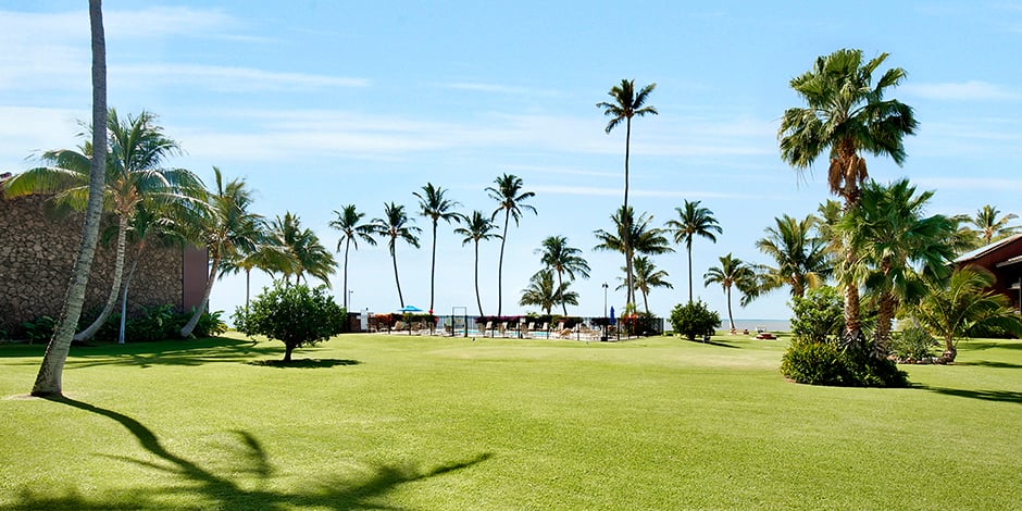 Resort grounds and pool aread at Molokai Shores