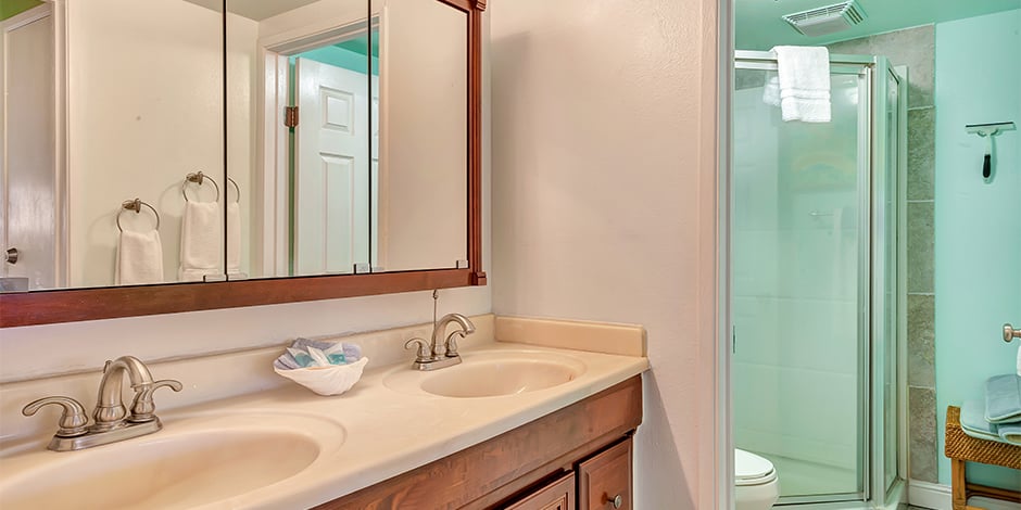 Bathroom in a 2-Bedroom Ocean View at Molokai Shores