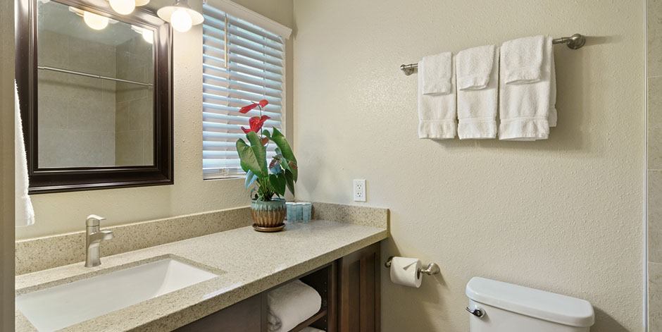 Bathroom in studio unit at Waimea Country Lodge