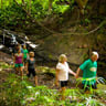 Wailua River Paddle Jungle Hike